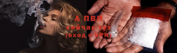 гашик Снежногорск