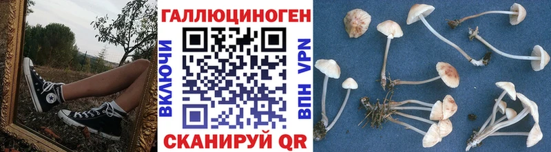 Галлюциногенные грибы прущие грибы  KRAKEN ONION  дарк нет формула  Узловая 
